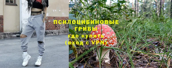 spice Карпинск