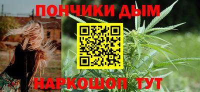 мдпв Камышлов