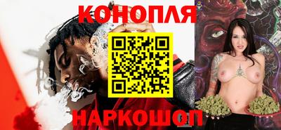мдпв Камышлов