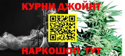 мдпв Камышлов
