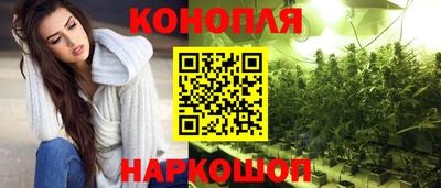 мдпв Камышлов
