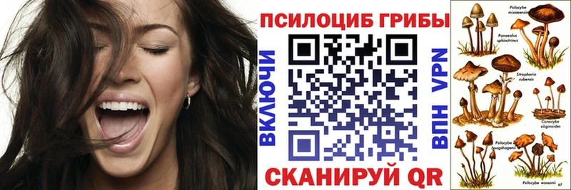 Галлюциногенные грибы мицелий  что такое   Тамбов 