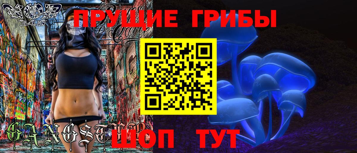 Галлюциногенные грибы Psilocybe  Псилоцибиновые грибы GOLDEN TEACHER  Тамбов  наркошоп  Вход с VPN 